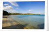 View of Santa Giulia bay, Corsica, France by Anonymous
