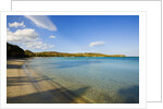 View of Santa Giulia bay, Corsica, France by Anonymous