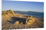 Beach near Abbartello, Corsica, France by Anonymous