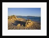 Beach near Abbartello, Corsica, France by Anonymous