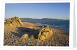 Beach near Abbartello, Corsica, France by Anonymous