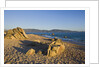 Beach near Abbartello, Corsica, France by Anonymous