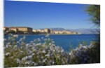 View of town from Lantivy seaside, Ajaccio, Corsica, France by Anonymous