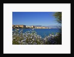 View of town from Lantivy seaside, Ajaccio, Corsica, France by Anonymous