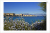 View of town from Lantivy seaside, Ajaccio, Corsica, France by Anonymous