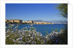 View of town from Lantivy seaside, Ajaccio, Corsica, France by Anonymous