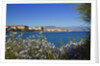 View of town from Lantivy seaside, Ajaccio, Corsica, France by Anonymous