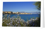 View of town from Lantivy seaside, Ajaccio, Corsica, France by Anonymous