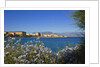 View of town from Lantivy seaside, Ajaccio, Corsica, France by Anonymous