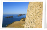 View of Sanguinaires Islands from Genovese tower of Parata Point, Ajaccio, Corsica, France by Anonymous