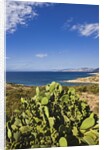 View near Ostriconi beach, Corsica, France by Anonymous
