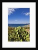 View near Ostriconi beach, Corsica, France by Anonymous