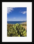 View near Ostriconi beach, Corsica, France by Anonymous