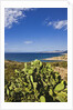 View near Ostriconi beach, Corsica, France by Anonymous