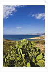 View near Ostriconi beach, Corsica, France by Anonymous