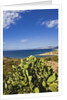 View near Ostriconi beach, Corsica, France by Anonymous