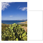 View near Ostriconi beach, Corsica, France by Anonymous