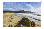 View near Ostriconi beach, Corsica, France by Anonymous