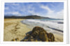 View near Ostriconi beach, Corsica, France by Anonymous