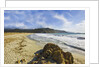 View near Ostriconi beach, Corsica, France by Anonymous
