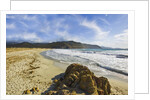 View near Ostriconi beach, Corsica, France by Anonymous