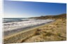 View of Ostriconi beach, Corsica, France by Anonymous