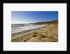 View of Ostriconi beach, Corsica, France by Anonymous