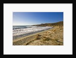 View of Ostriconi beach, Corsica, France by Anonymous