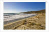 View of Ostriconi beach, Corsica, France by Anonymous