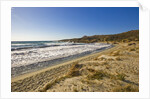 View of Ostriconi beach, Corsica, France by Anonymous