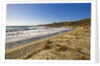 View of Ostriconi beach, Corsica, France by Anonymous