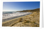 View of Ostriconi beach, Corsica, France by Anonymous