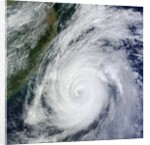 Typhoon Jelawat by Anonymous