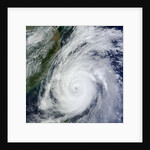 Typhoon Jelawat by Anonymous