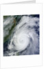 Typhoon Jelawat by Anonymous