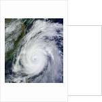Typhoon Jelawat by Anonymous