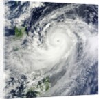 Super Typhoon Jelawat (18W) in the Philippine Sea by Anonymous