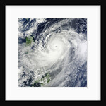 Super Typhoon Jelawat (18W) in the Philippine Sea by Anonymous