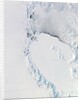 Western Ross Sea and Ice Shelf, Antarctica by Anonymous