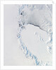 Western Ross Sea and Ice Shelf, Antarctica by Anonymous