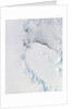 Western Ross Sea and Ice Shelf, Antarctica by Anonymous