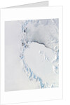 Western Ross Sea and Ice Shelf, Antarctica by Anonymous