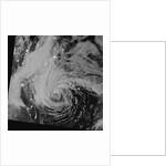 Overnight View of Hurricane Sandy by Anonymous