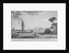 A view of the newly discovered island of Ulietia by Anonymous