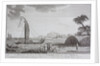 A view of the newly discovered island of Ulietia by Anonymous