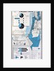 Map of Palestine showing the increase in Jewish population between 1934 and 1956 by Anonymous