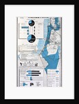 Map of Palestine showing the increase in Jewish population between 1934 and 1956 by Anonymous