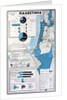 Map of Palestine showing the increase in Jewish population between 1934 and 1956 by Anonymous
