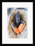 Lobster - Sea food delicacy by Anonymous