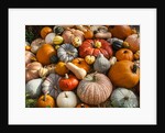 Pumpkin display for fall festival by Anonymous
